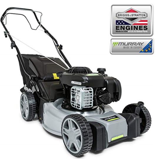 Best Petrol Lawnmowers UK 2024 UK Garden Reviews